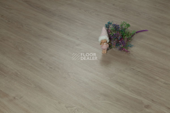 Tarkett Funky House GUSTO фото 4 | FLOORDEALER
